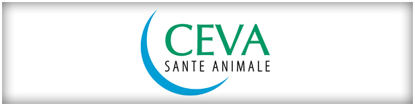 Création Dn'D - Site Internet d'incentive Ceva - Santé Animale Création Dn'D - Site Internet d'incentive Ceva - Santé Animale