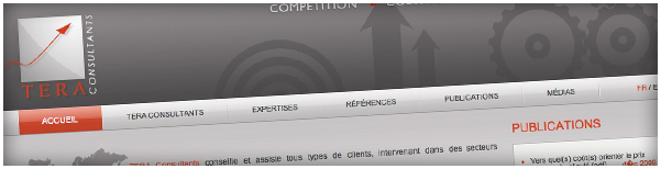 Création Agence Dn'D : Site Internet TERA Consultants