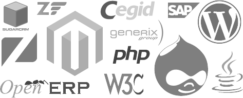 developpement logo schema