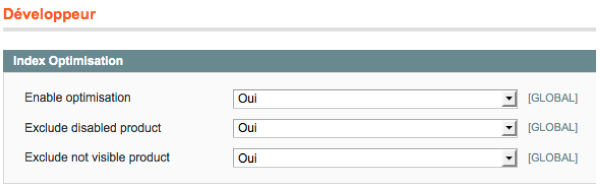Configuration de l'extension Magento DnD-Patch-index