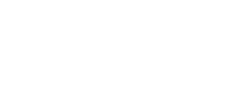 Logo Norlink