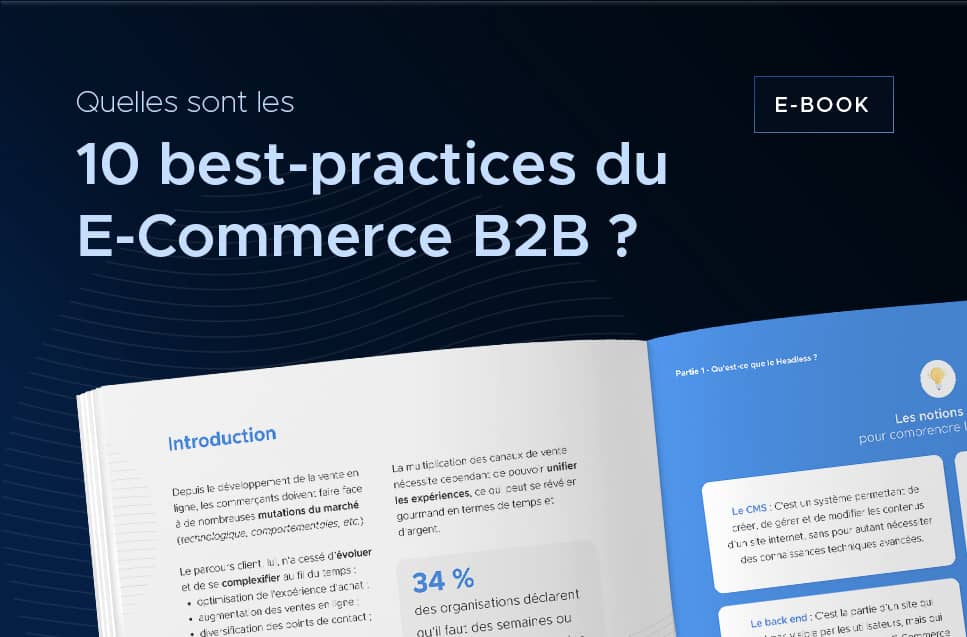 Les best-practices du E-Commerce B2B