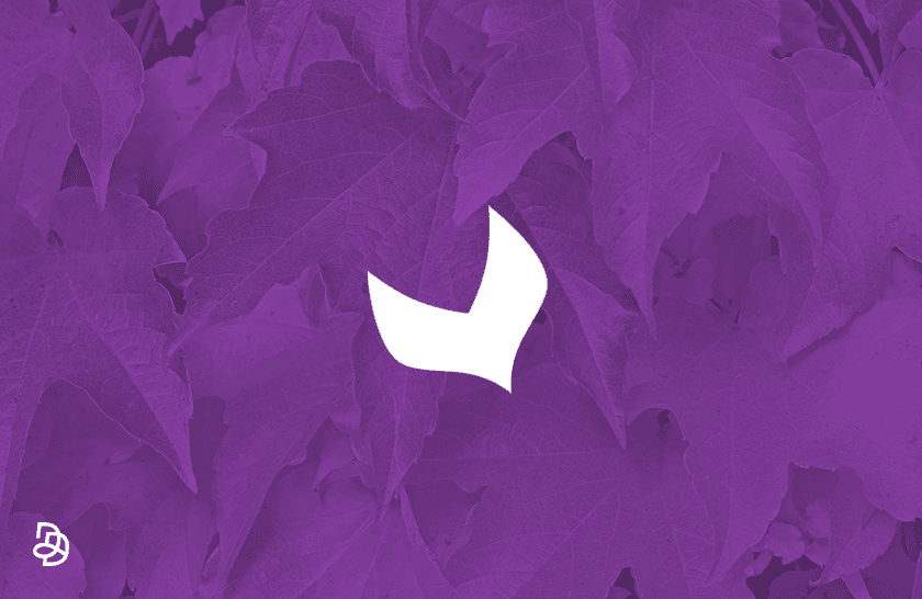 Image de l'article : Akeneo Autumn Release 2025 : IA, GEO et optimisation de la performance produit sur tous les canaux