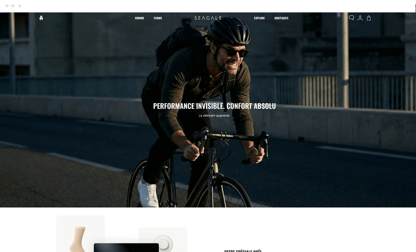 Image desktop du projet Seagale