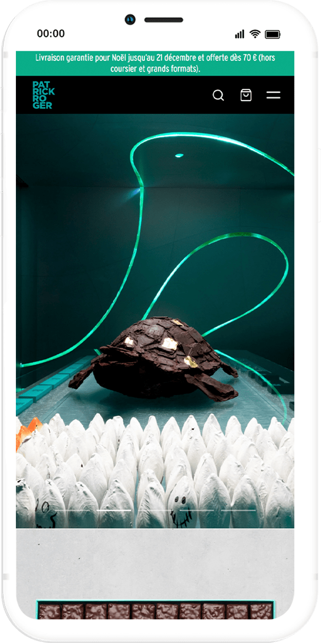 Image mobile du projet Patrick Roger